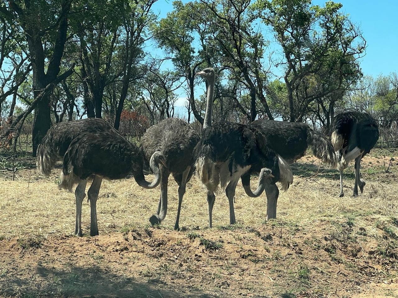 Shasha Lodge bathroom